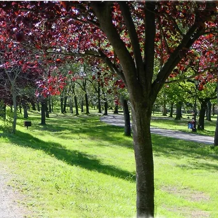 Balneario De Hotel Alceda