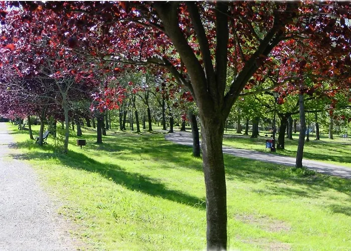 Balneario De מלון Alceda